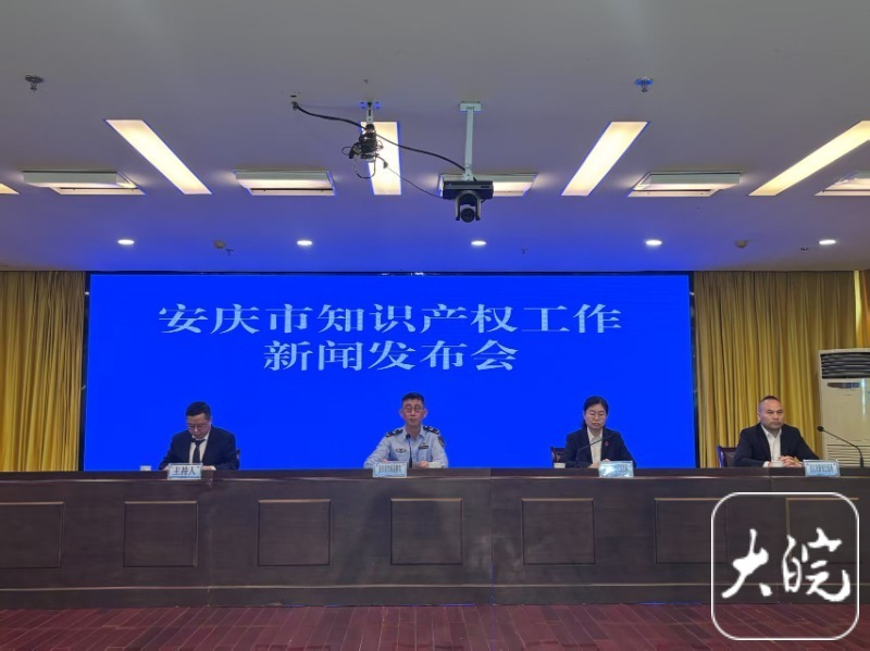 安庆市2024年发明专利授权量