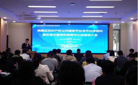 南京栖霞：激活知识产权创新动能 助力区域经济高质量发展