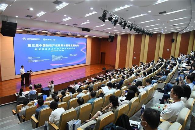 知识产权管理咨询