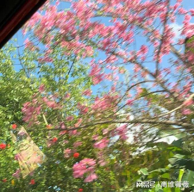 品牌线上控价究竟如何实施？(图2)
