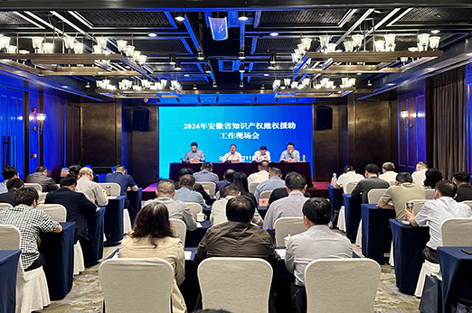 2024年全省知识产权维权援助