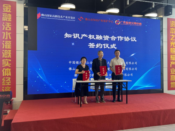 佛山高新区“数据资产与知识产权创新融合”专题培训暨科技金融对接活动成功举办(图4)