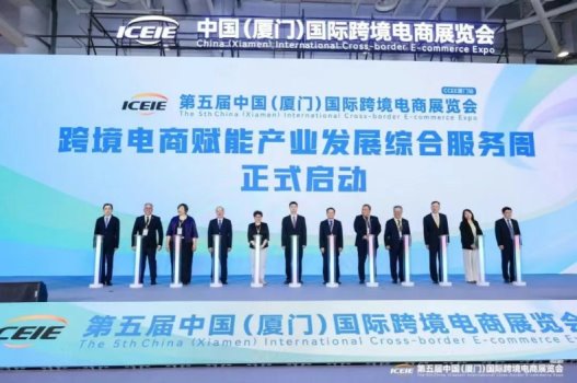 尚普咨询集团-“出海引擎-跨境电商营销中的文化融合与价值传递”(图1)