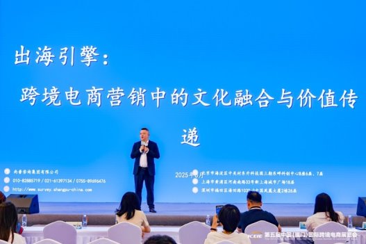 尚普咨询集团-“出海引擎-跨境电商营销中的文化融合与价值传递”(图3)