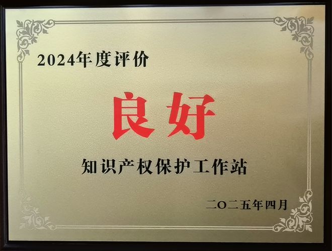 【协会动态】深圳市知识产权保护工作站工作会议召开协会获良好评价！(图3)