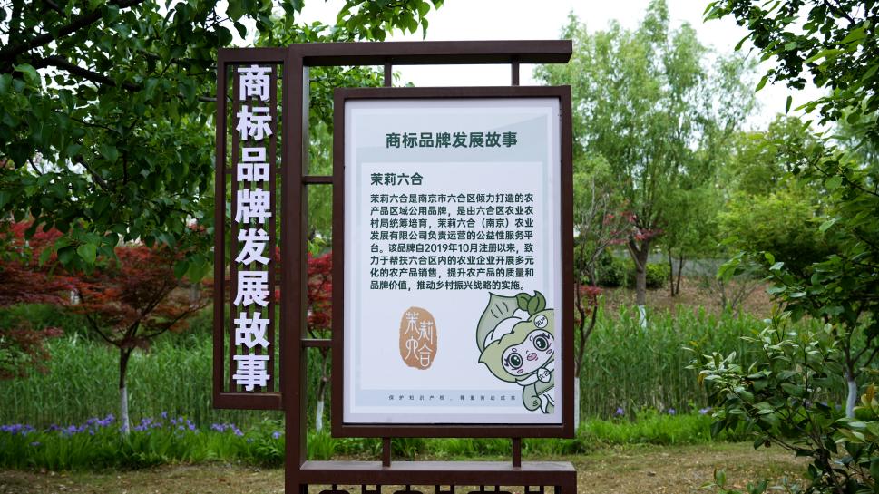 让知识产权走进生活 江苏省首个知识产权主题公园有“新配方”(图2)