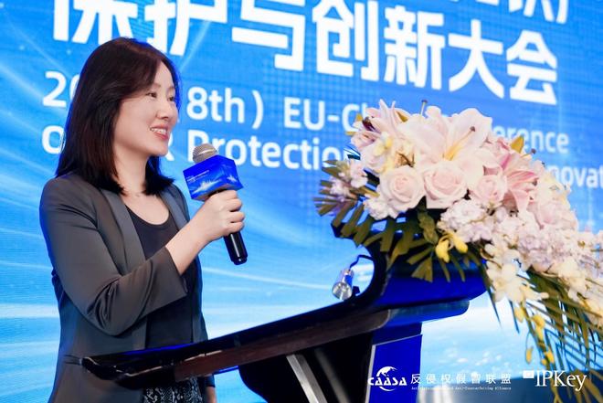 2025(第八届)中欧互联网知识产权保护与创新大会在京成功举办! 共探数字时代知识产权治理新挑战(图10)