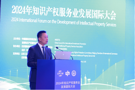 2024知识产权服务业发展国际