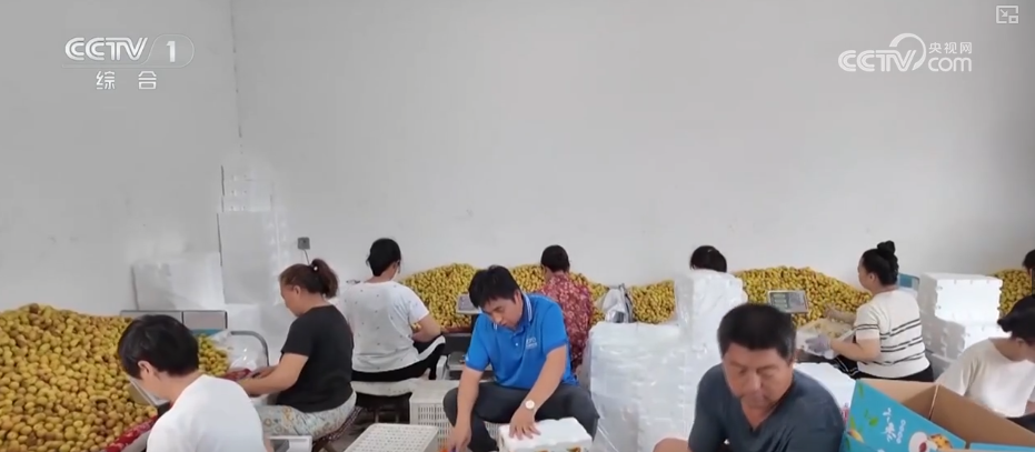 2000万辆、50万件；活力、增长！透过“数据+关键词”看经济稳中有进支撑更稳(图3)