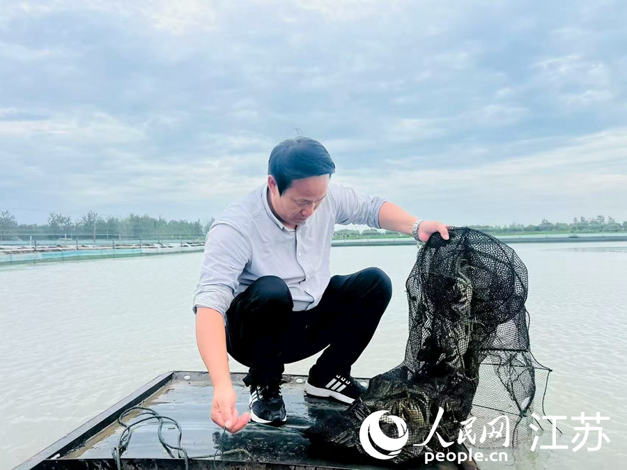 江苏泗洪：全民创业激活县域经济