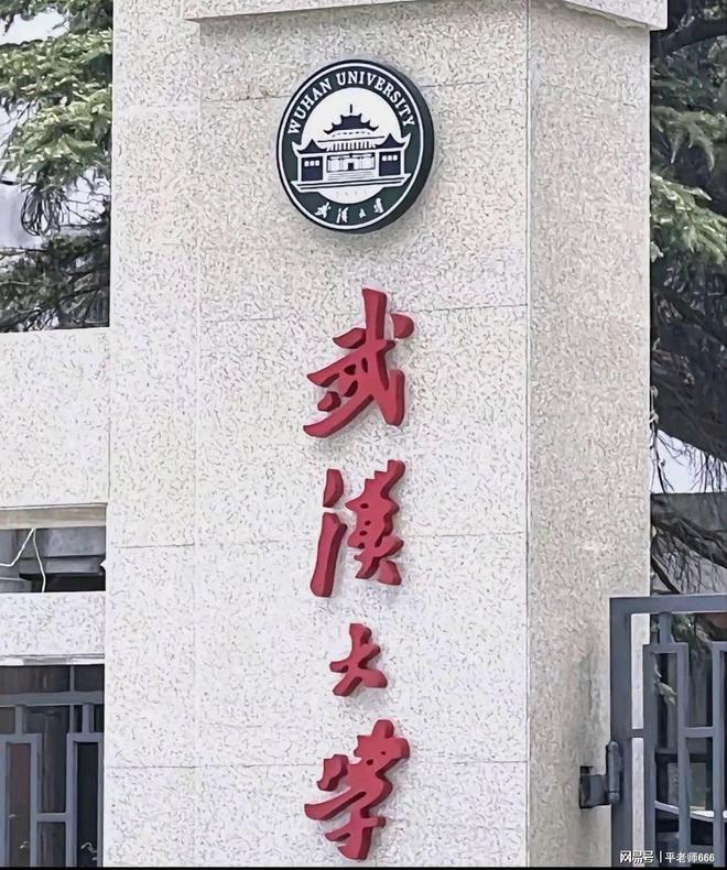 一句“滚出湖北”揭开了武大的遮