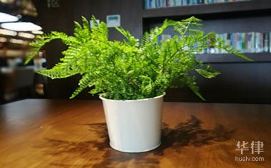 如何判定发明实用新型专利权侵权