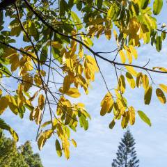 2024年专利类课程有哪些(图2)