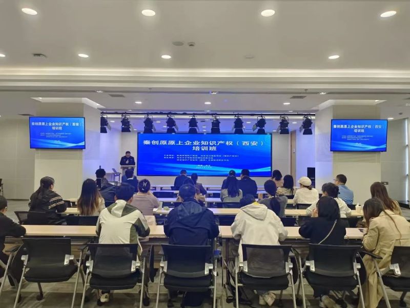 数说知识产权 2024年高新区知识产权工作量质齐升(图3)