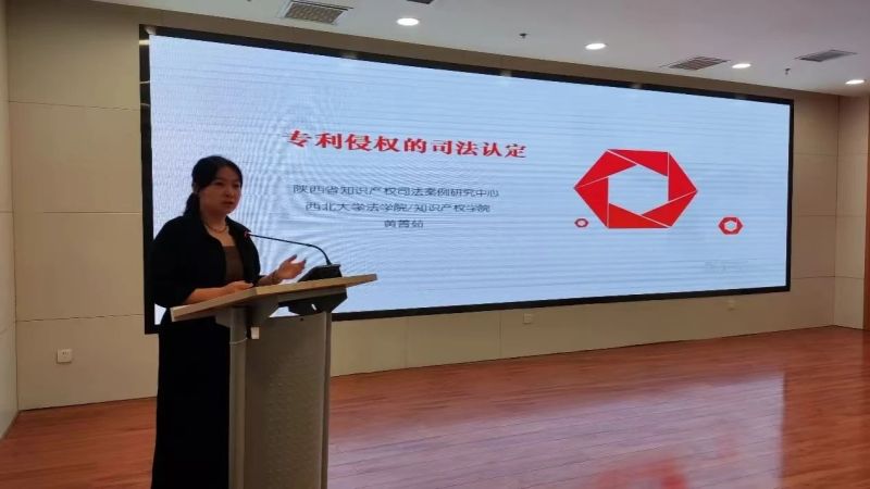 数说知识产权 2024年高新区知识产权工作量质齐升(图4)