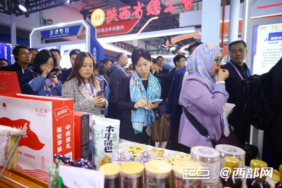 陕西：以知识产权为脉 连通创新沃土与产业森林(图6)