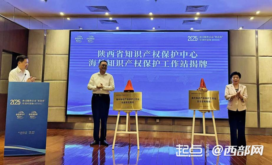 陕西：以知识产权为脉 连通创新沃土与产业森林(图8)