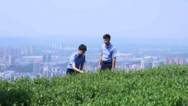 创新进到哪 保护跟到哪