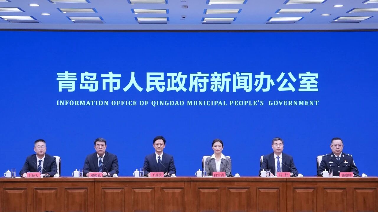 青岛：全面深化平安青岛建设 以高水平安全保障高质量发展