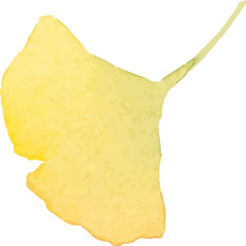 新山薅羊毛！2026 免费穿梭巴士景点不用打车(图3)