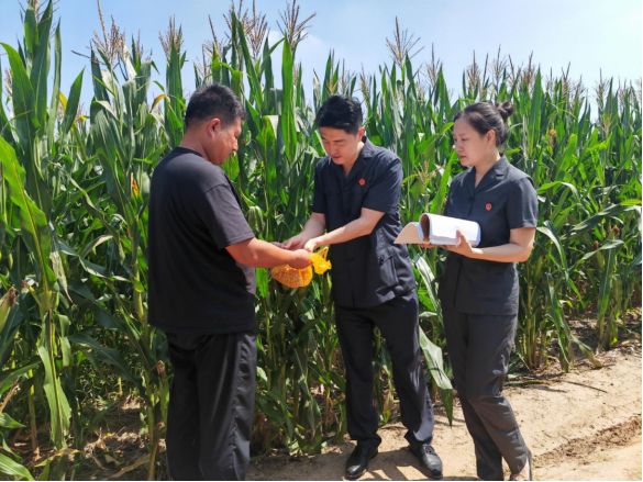 以司法之力扬创新之帆(图3)