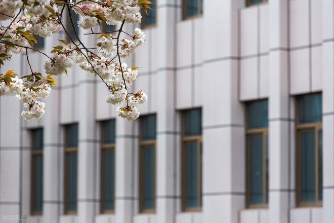 人工智能专业排名：西安电子科技大学成黑马前12名大学都有哪些(图8)