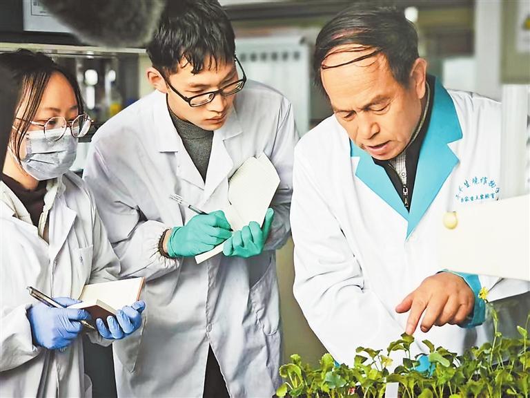 点燃高质量发展新引擎