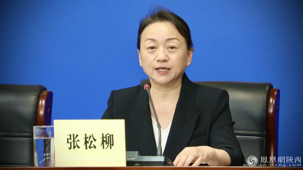 政在发布丨多部门协同发力 陕西2024知识产权保护成效显著