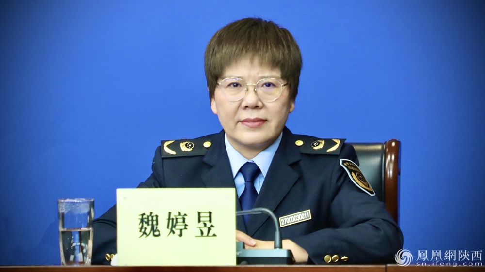 政在发布丨多部门协同发力 陕西2024知识产权保护成效显著(图3)