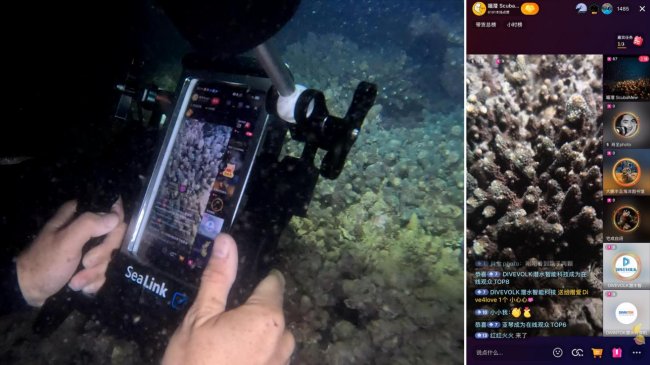 世界地球日：DIVEVOLK 以智能手机水下摄影推动海洋保护让每一位潜水员成为海洋守护者(图3)
