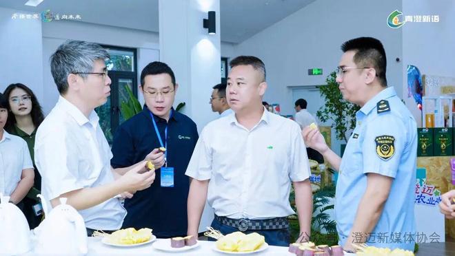 洞见澄迈012：从保护知识产权开始解码澄迈的“护城河”战略(图4)