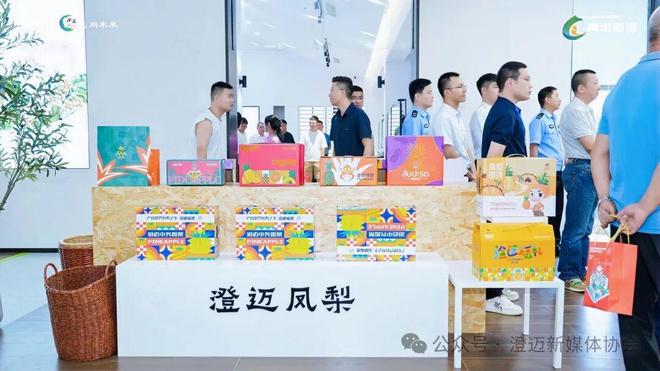 洞见澄迈012：从保护知识产权开始解码澄迈的“护城河”战略(图6)
