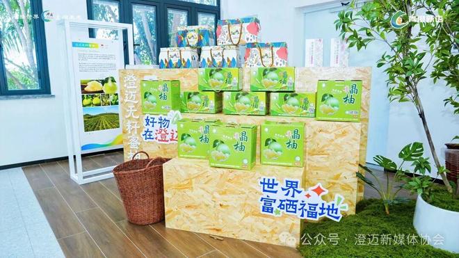 洞见澄迈012：从保护知识产权开始解码澄迈的“护城河”战略(图7)