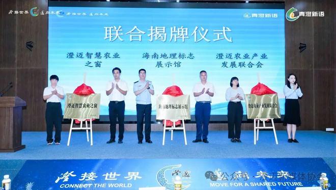 洞见澄迈012：从保护知识产权开始解码澄迈的“护城河”战略(图10)
