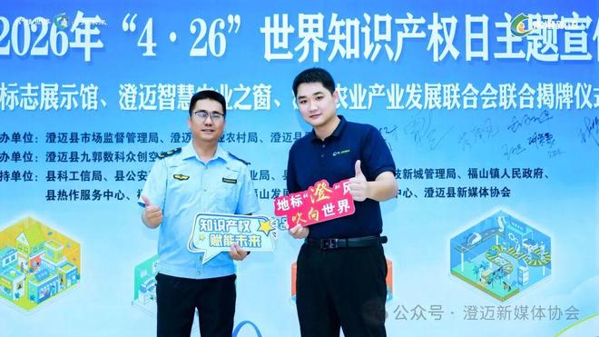 洞见澄迈012：从保护知识产权开始解码澄迈的“护城河”战略(图11)