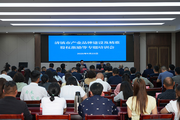 北京市知识产权战略咨询委员会宣布成立