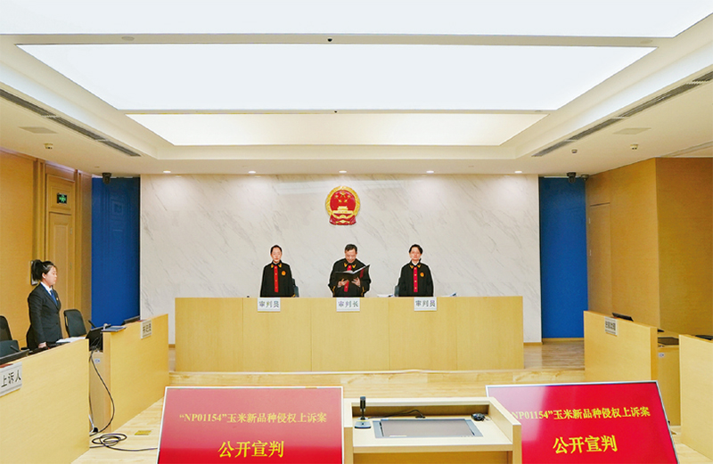 深度调研知识产权司法如何更好保护促进科技创新(图2)